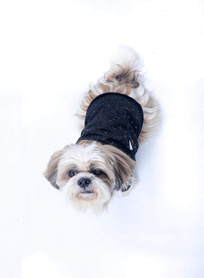 15 Buttons Dog Black Sequence Work Sherwani | Pure Cotton Fabric | Wedding Dress for Pets | Comfortable Ethnic Summer Outfit Choice | for All Occasions | for Shih Tzu, Poodle, Pug (S) - Image 5